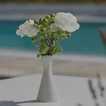 Apart-hotel Bellonia Naousa