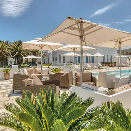 Bellonia 나오우사