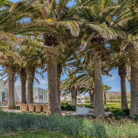 Bellonia Aparthotel Naousa (Paros)