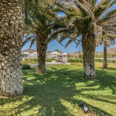 Bellonia Naousa (Paros)