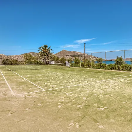 Bellonia 나오우사