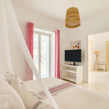 Bellonia 나오우사