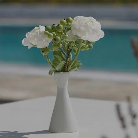 Aparthotel Bellonia Naoussa